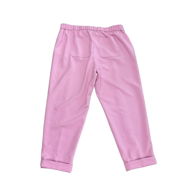 Anthropologie Maeve lilac purple pink cuffed pant pockets high-rise straight 18W - Picture 7 of 16